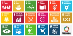 Global-Goals-450_Artboard-2